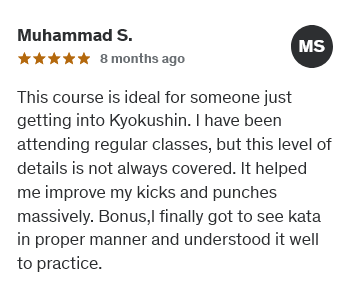 Kyokushin Online Academy - rewiews