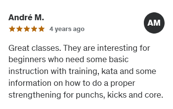 Kyokushin Online Academy - rewiews