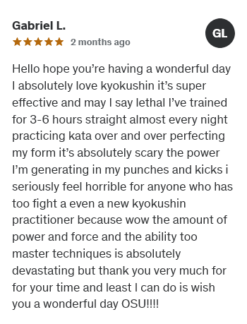 Kyokushin Online Academy - rewiews